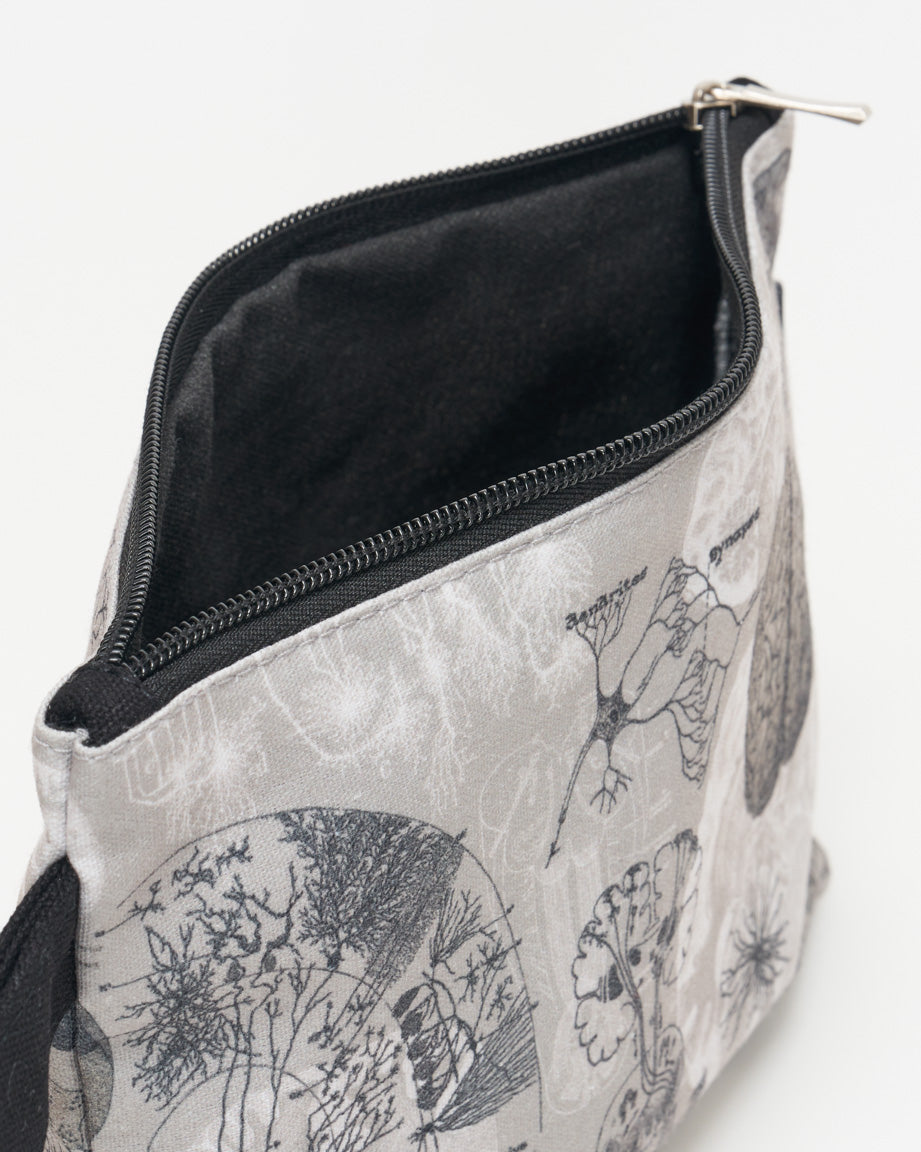 zip case anatomy of the brain