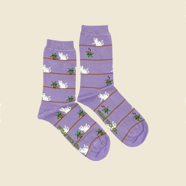 Schrödinger's socks