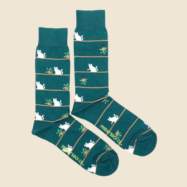 Schrödinger's socks