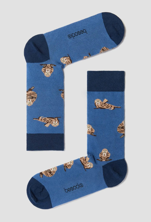 Socks humpback whale &amp; killer whale