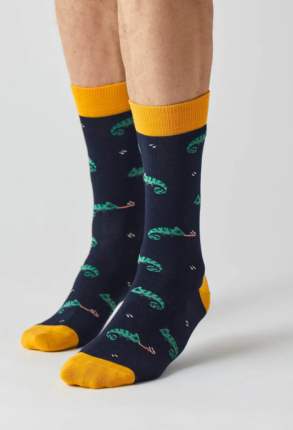Socks humpback whale &amp; killer whale