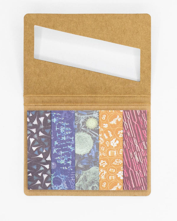 Page flags Look Closer - Microbiologie - Fairy Positron