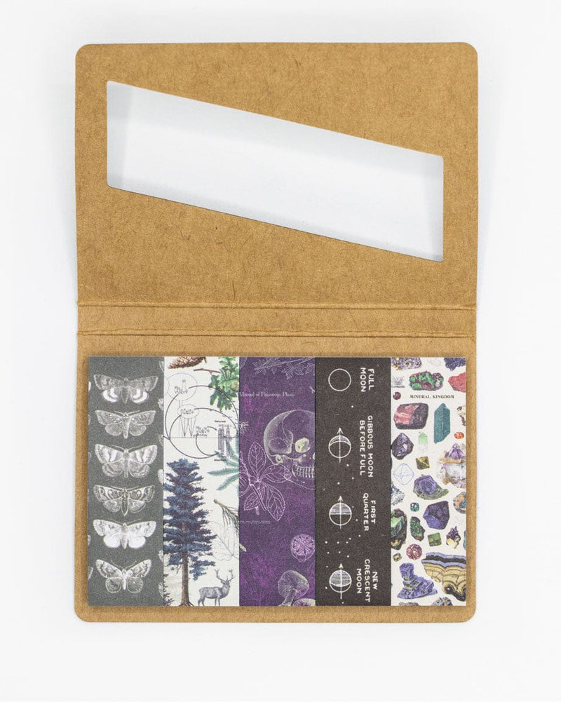 Page flags Moonlit Forest - Fairy Positron