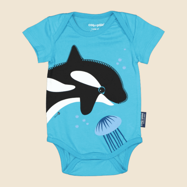 Body killer whale &amp; jellyfish