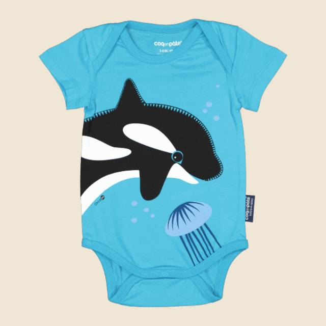 Body killer whale &amp; jellyfish