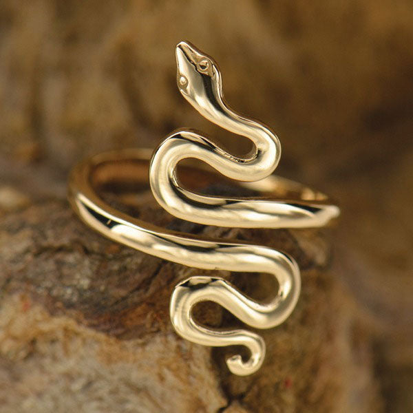 Bronzen ring slang (groot) - Fairy Positron