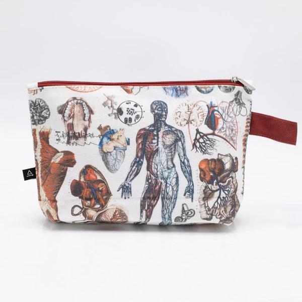 zip case anatomy - Fairy Positron