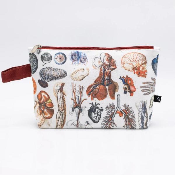 zip case anatomy - Fairy Positron