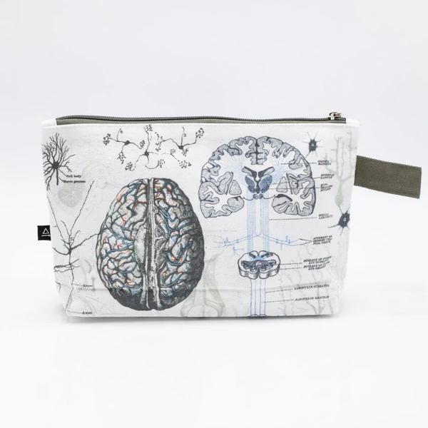 zip case anatomy of the brain - Fairy Positron