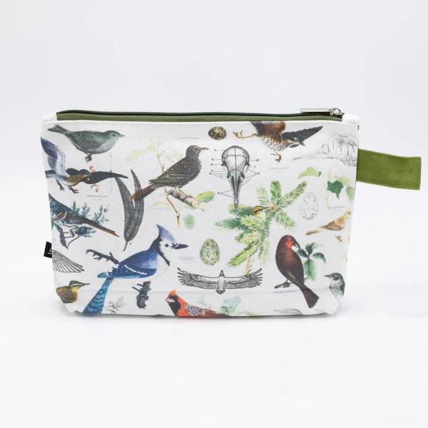 Etui ornithologie - Fairy Positron