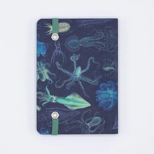 Mini-notitieboekje "Sea Monsters: Octopus & Squid" - Fairy Positron