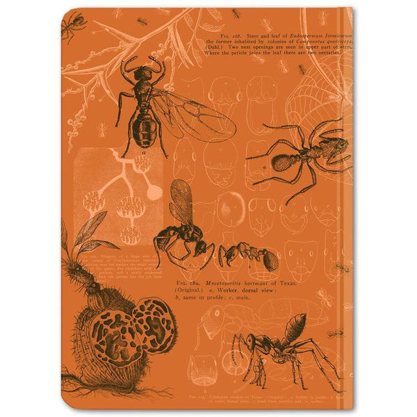 Notitieboekje mieren (puntraster) - Fairy Positron