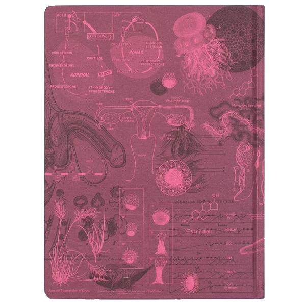 Notitieboekje voortplanting (geruit/gelijnd) - Fairy Positron