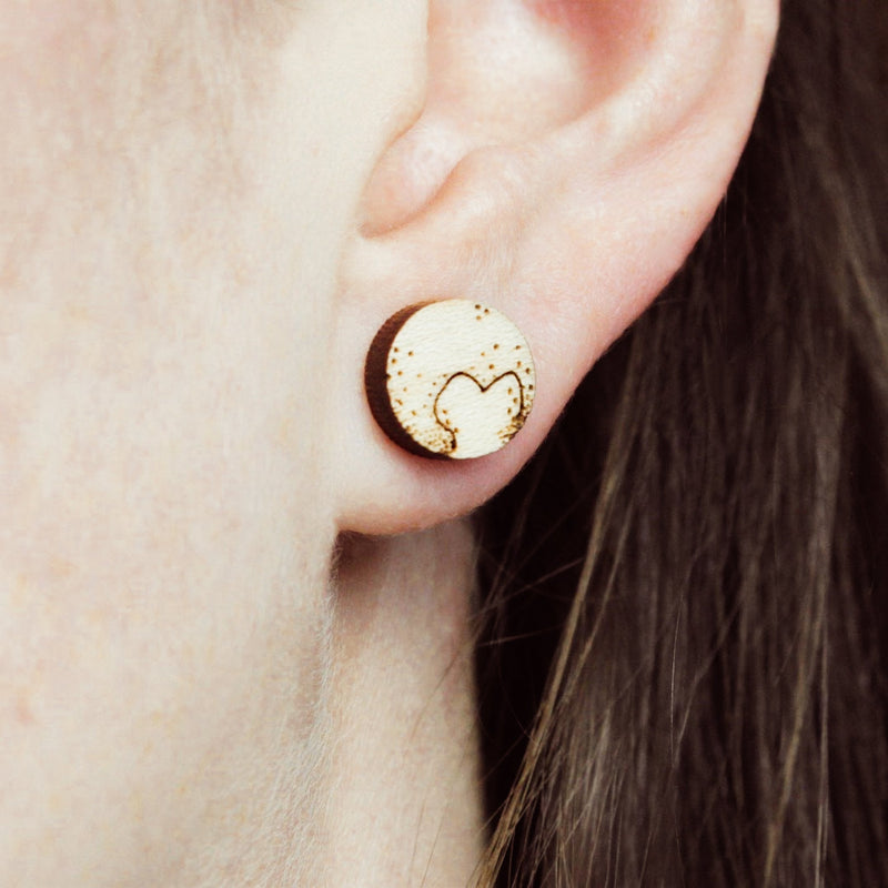 Oorbellen New Horizons & Pluto (studs) - Fairy Positron