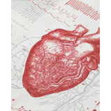 Schoudertas anatomisch hart - Fairy Positron