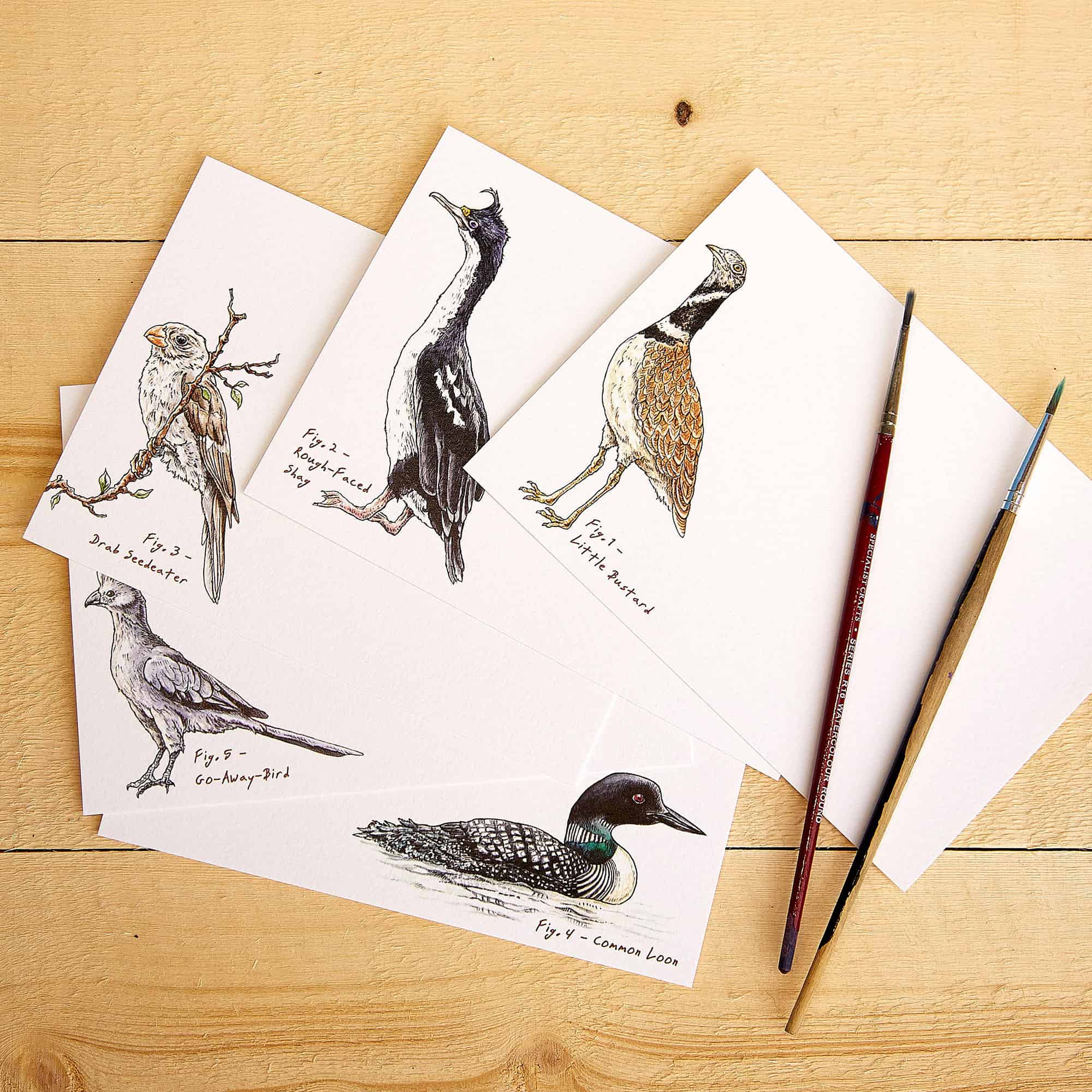 Set of 10 cards "Impeckably Fowl" -. Fairy Positron