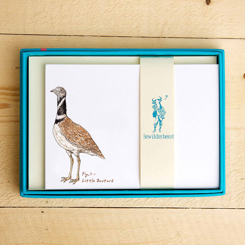 Set van 10 kaartjes "Impeckably Fowl" - Fairy Positron