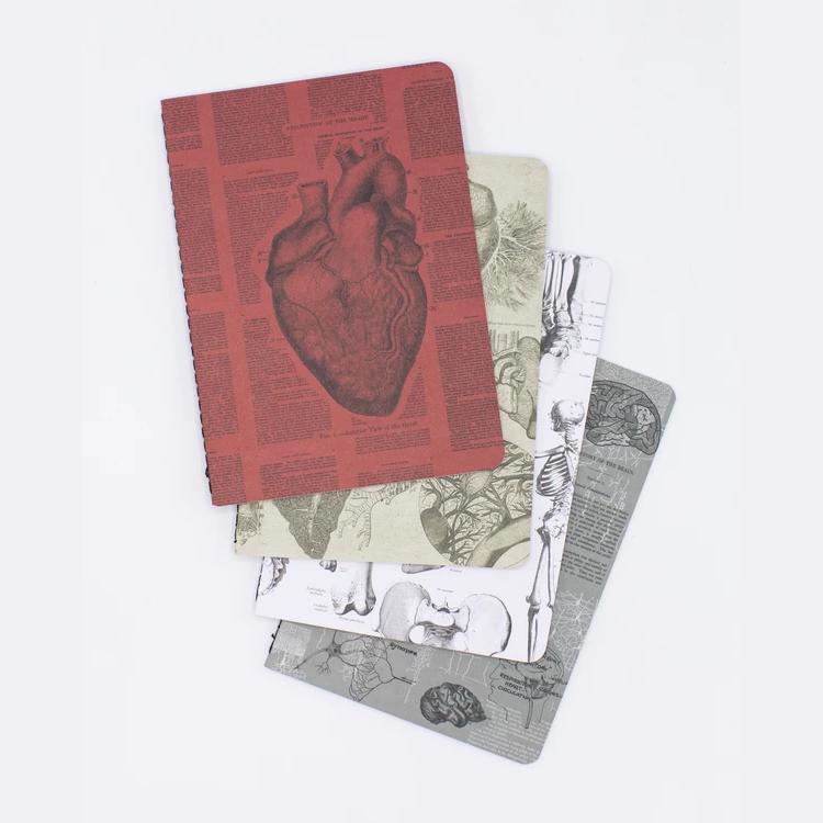 Set of pocket notebooks anatomy - Fairy Positron