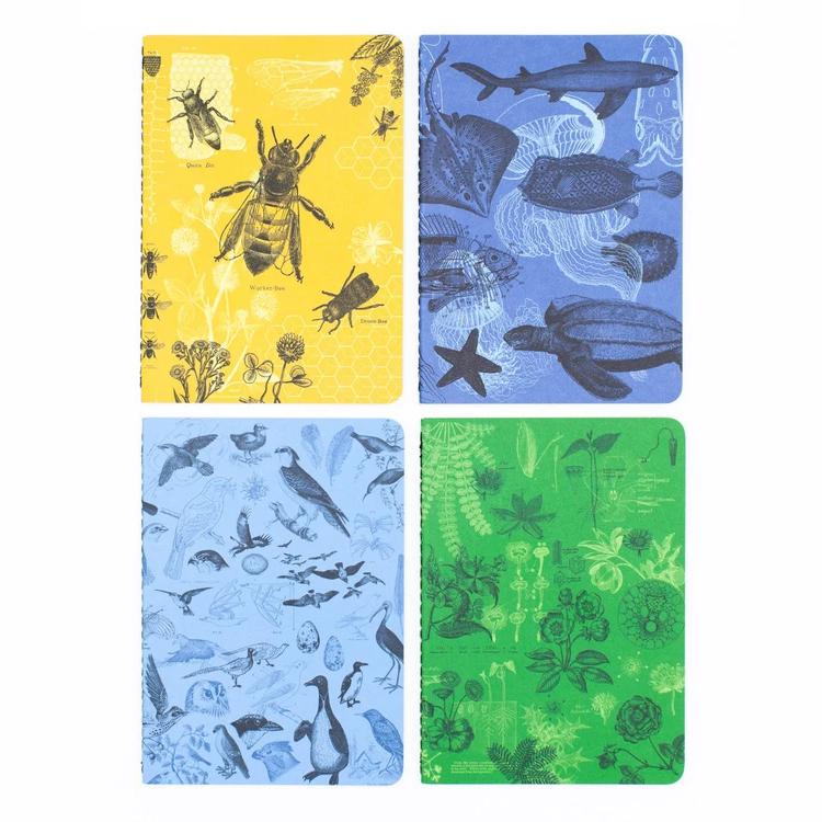 Set of pocket notebooks biology - Fairy Positron