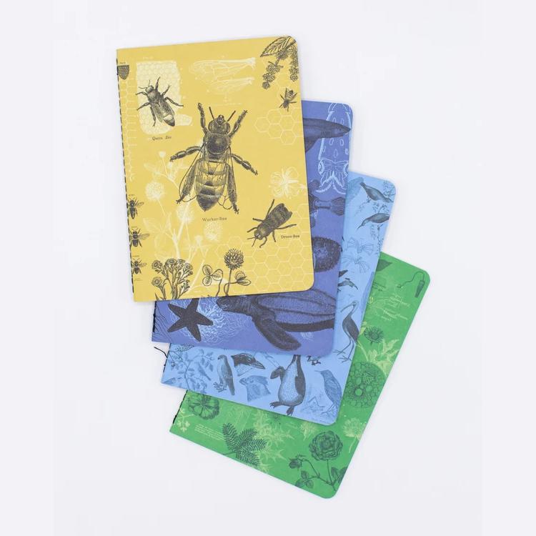 Set of pocket notebooks biology - Fairy Positron