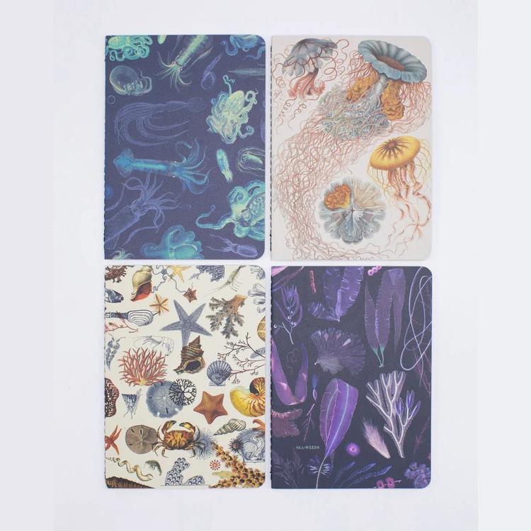 Set of pocket notebooks ocean - Fairy Positron