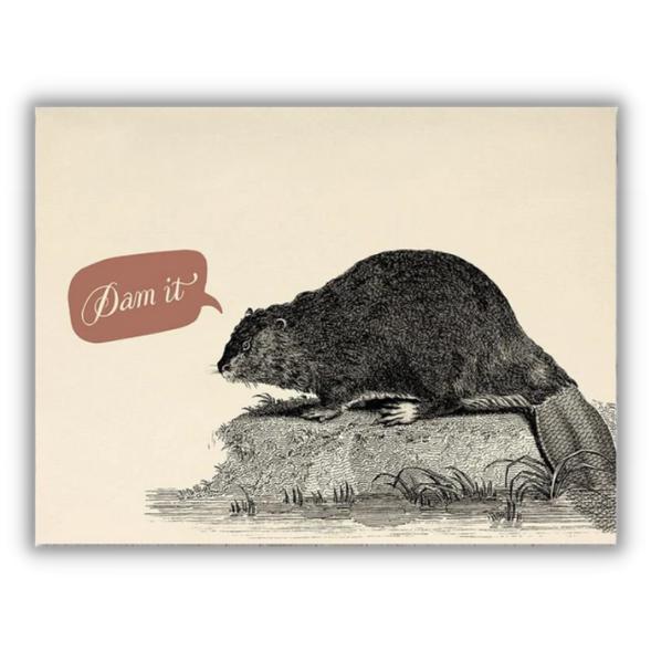 Greeting card beaver "Dam it" - Fairy Positron